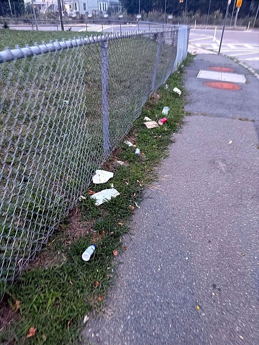 Image submitted with report