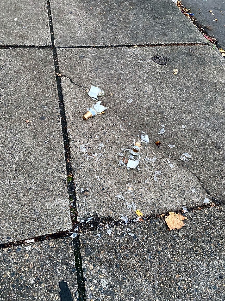 Image submitted with report