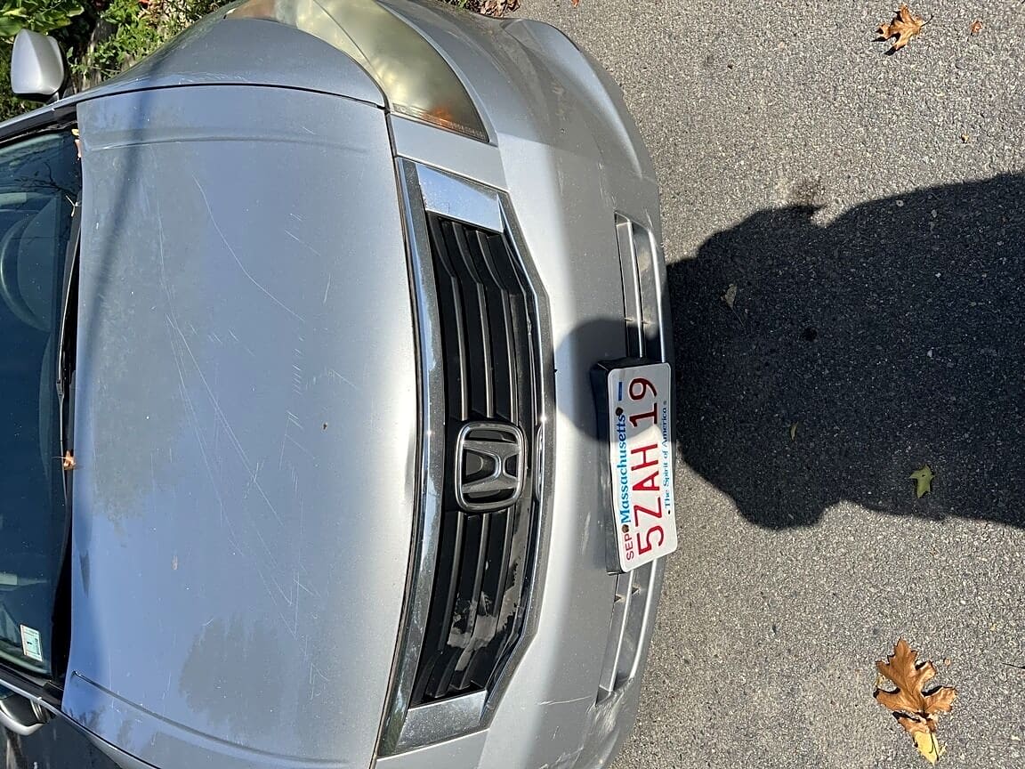 Image submitted with report