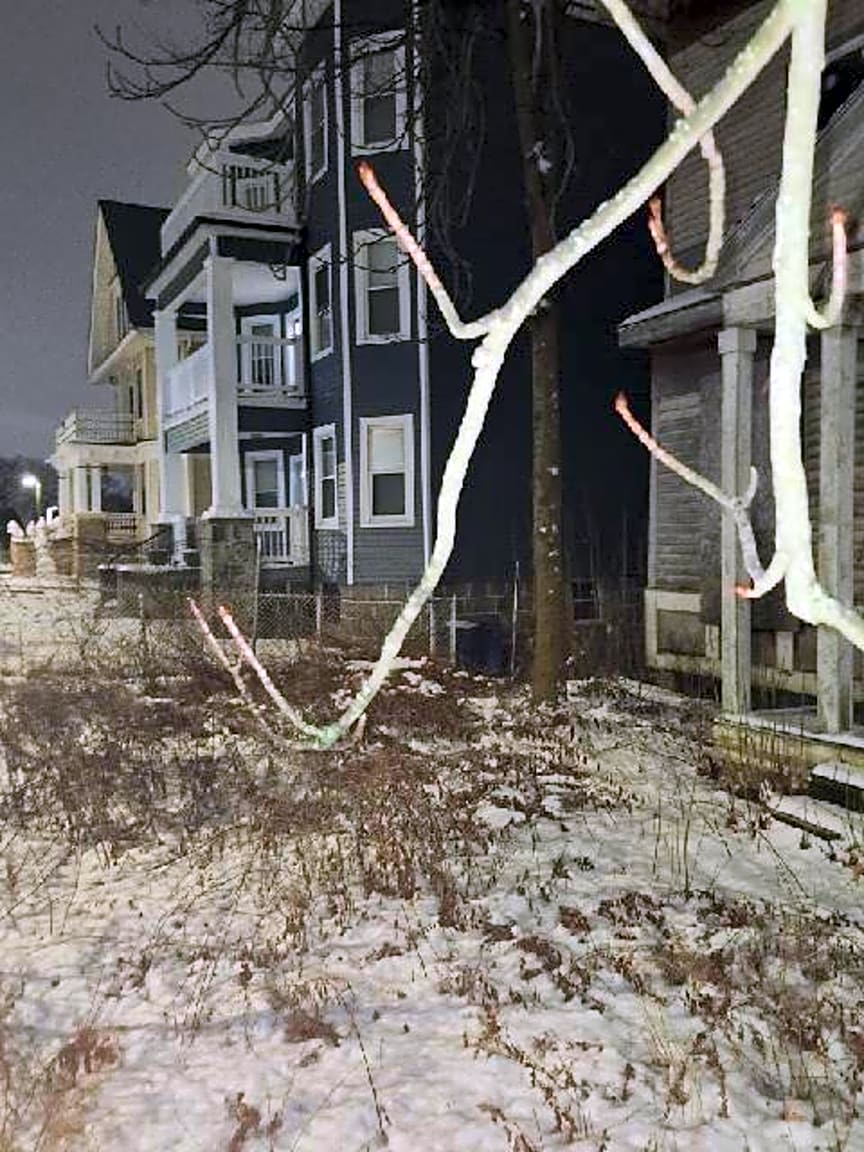 Image submitted with report