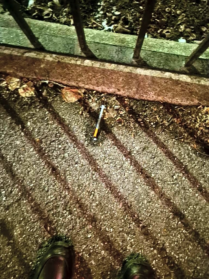 Image submitted with report