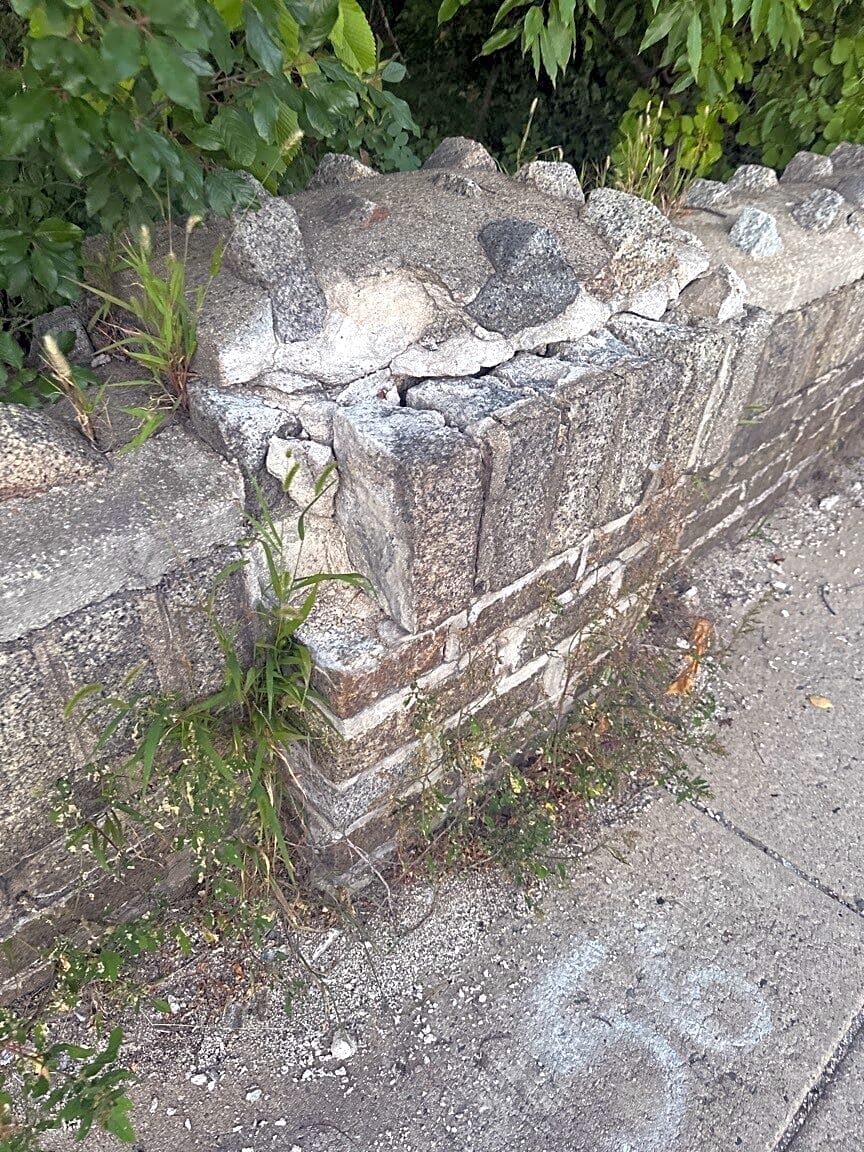 Image submitted with report