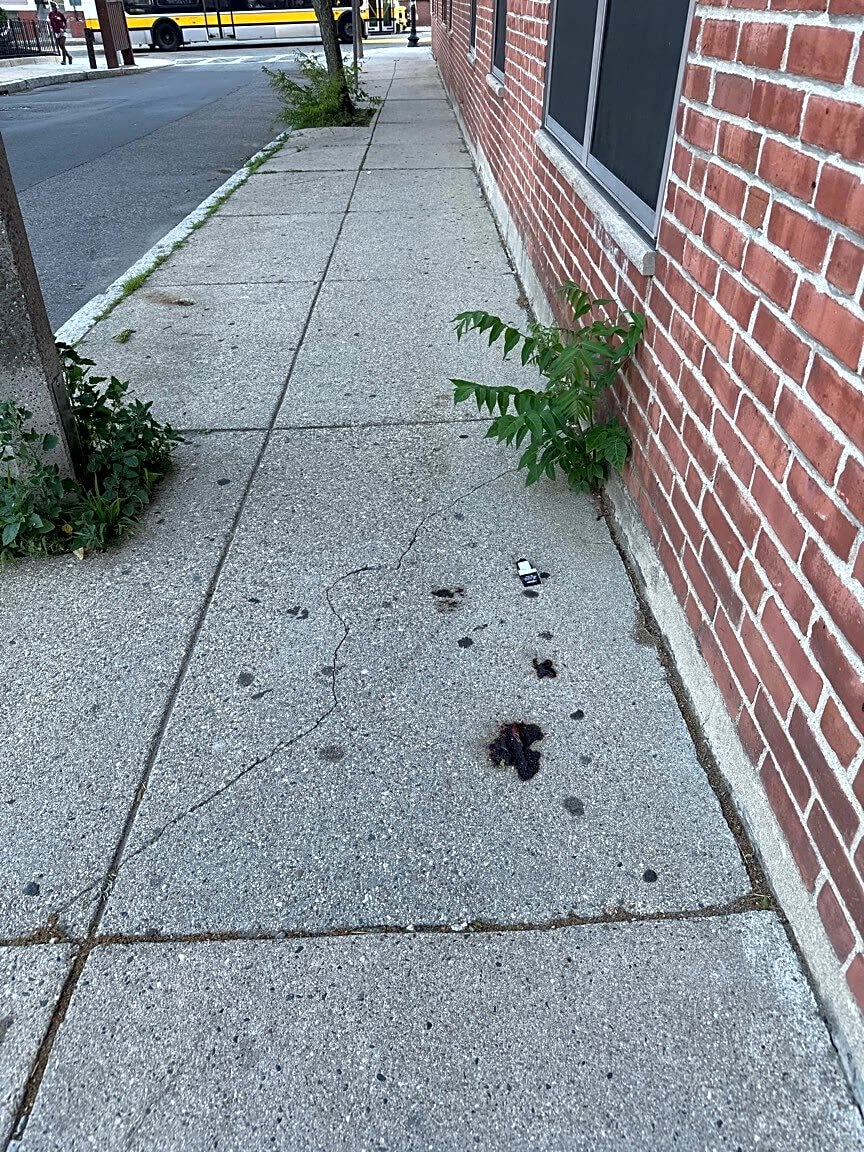 Image submitted with report