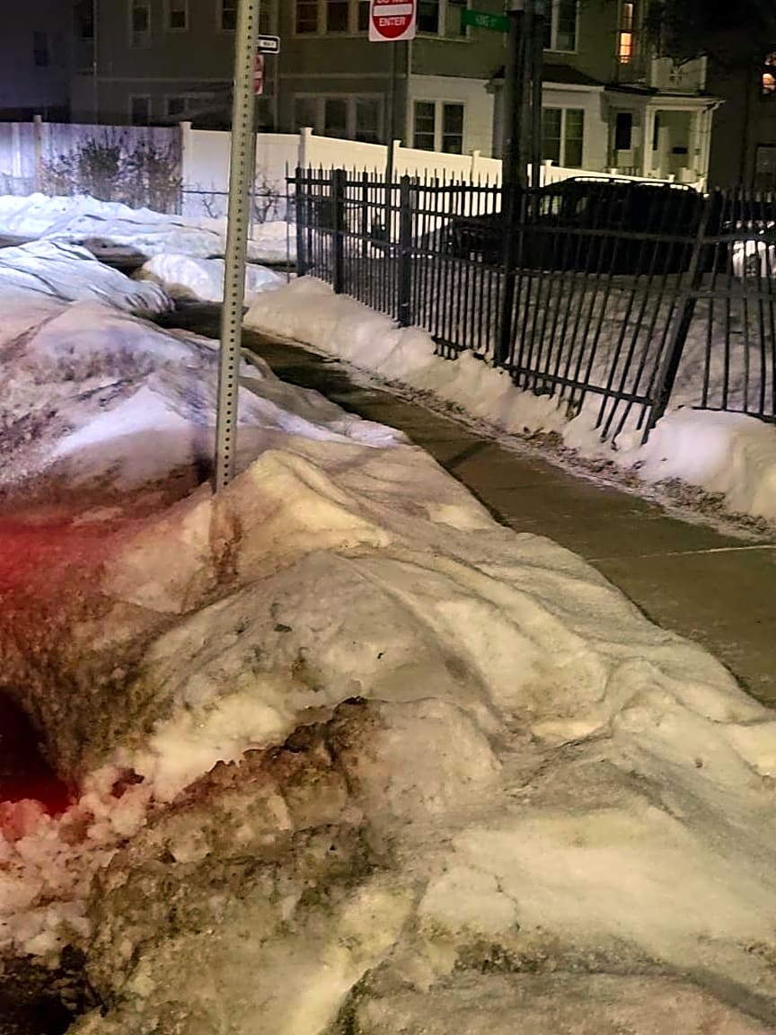 Image submitted with report