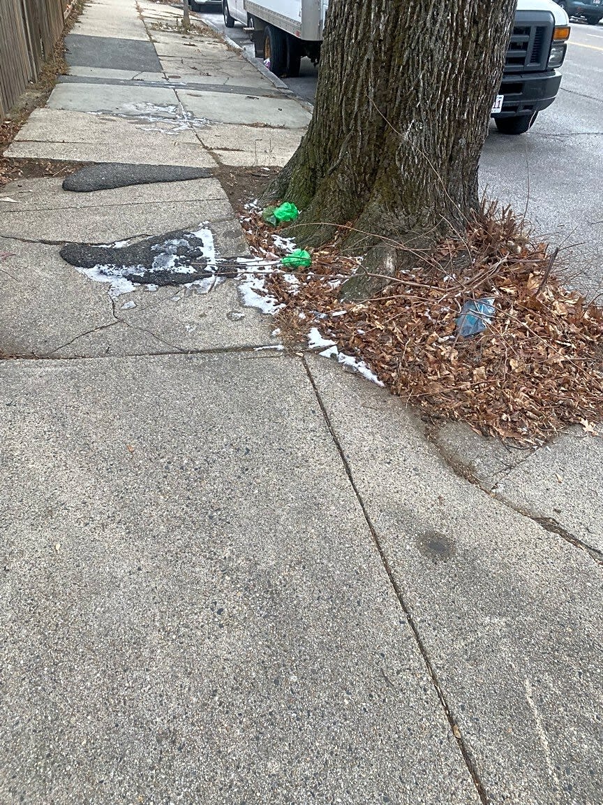 Image submitted with report