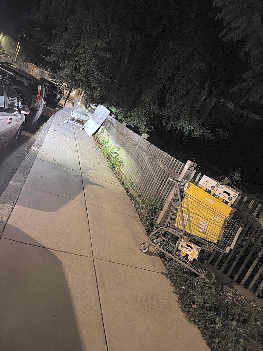 Image submitted with report