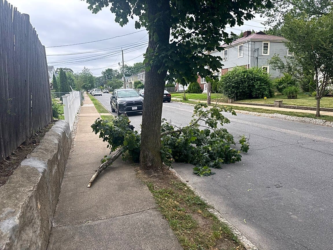Image submitted with report