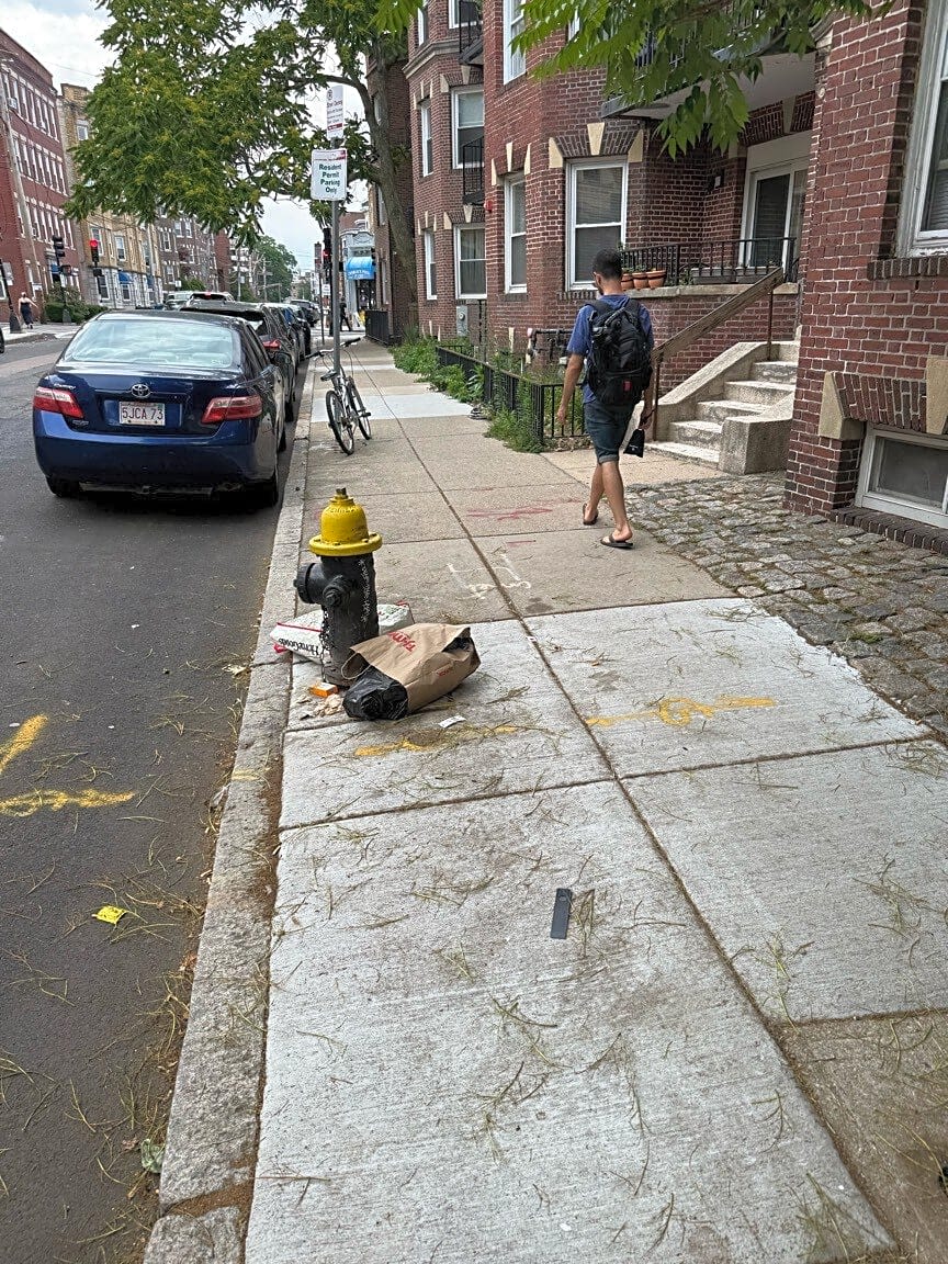 Image submitted with report