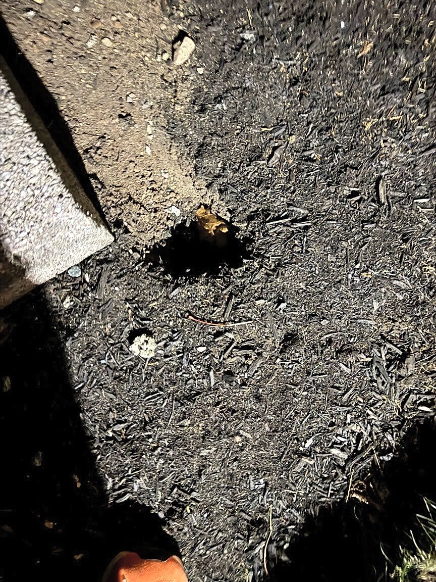 Image submitted with report