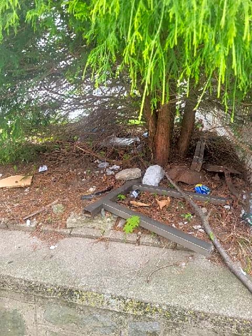 Image submitted with report