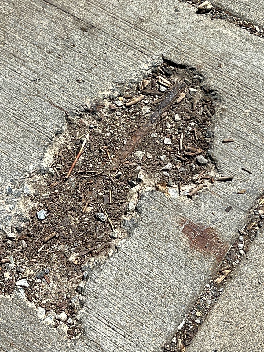 Image submitted with report