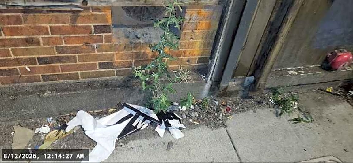 Image submitted with report