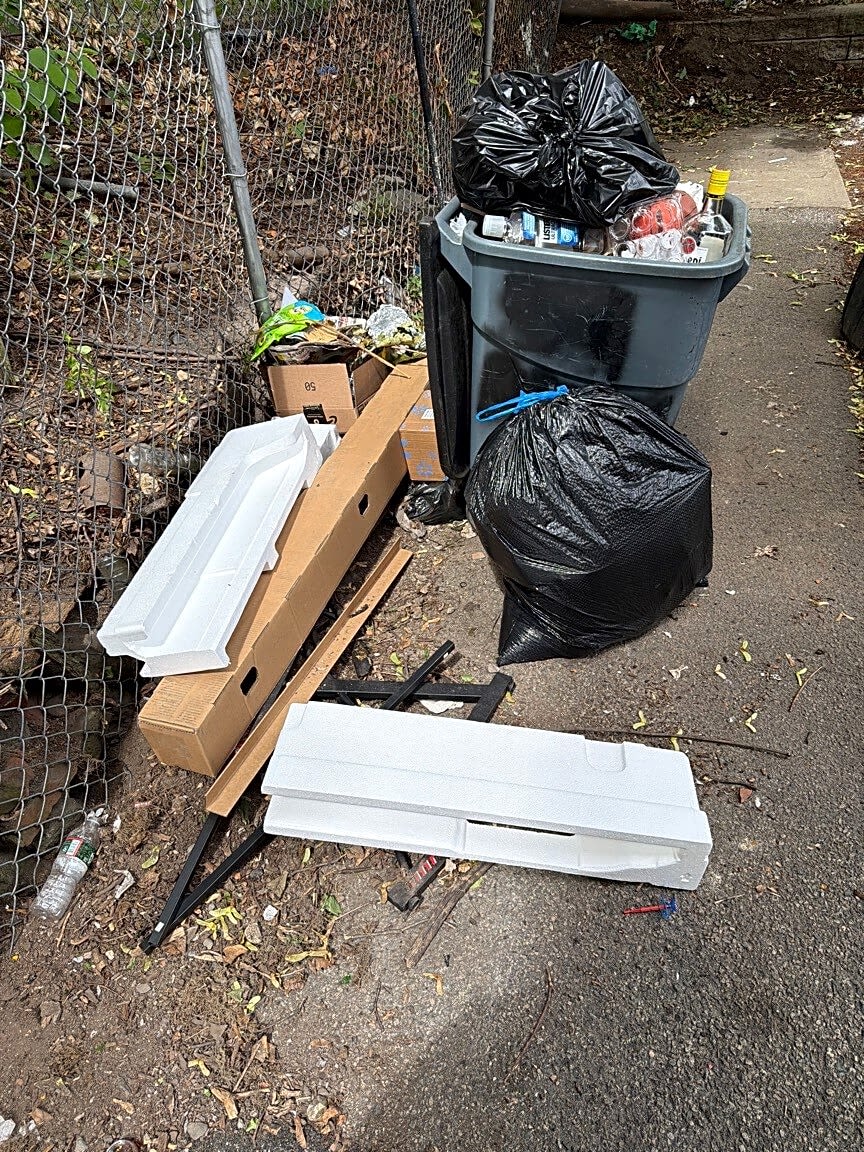Image submitted with report