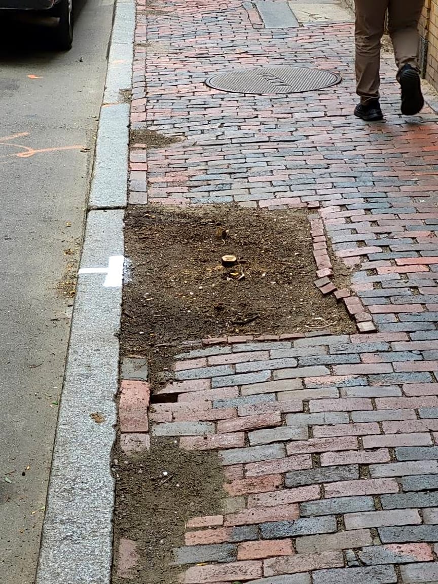 Image submitted with report