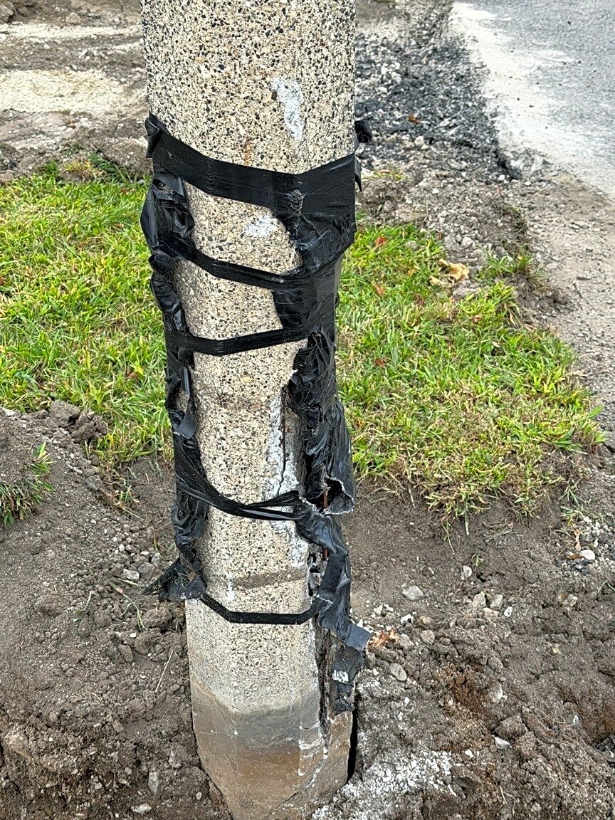 Image submitted with report