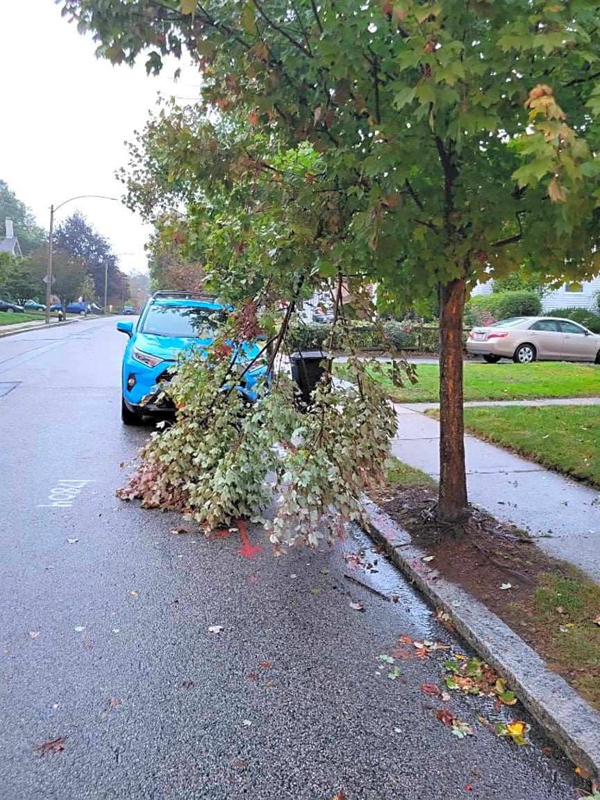 Image submitted with report