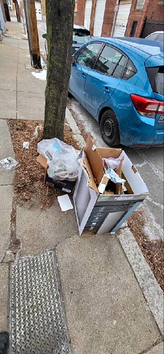 Image submitted with report