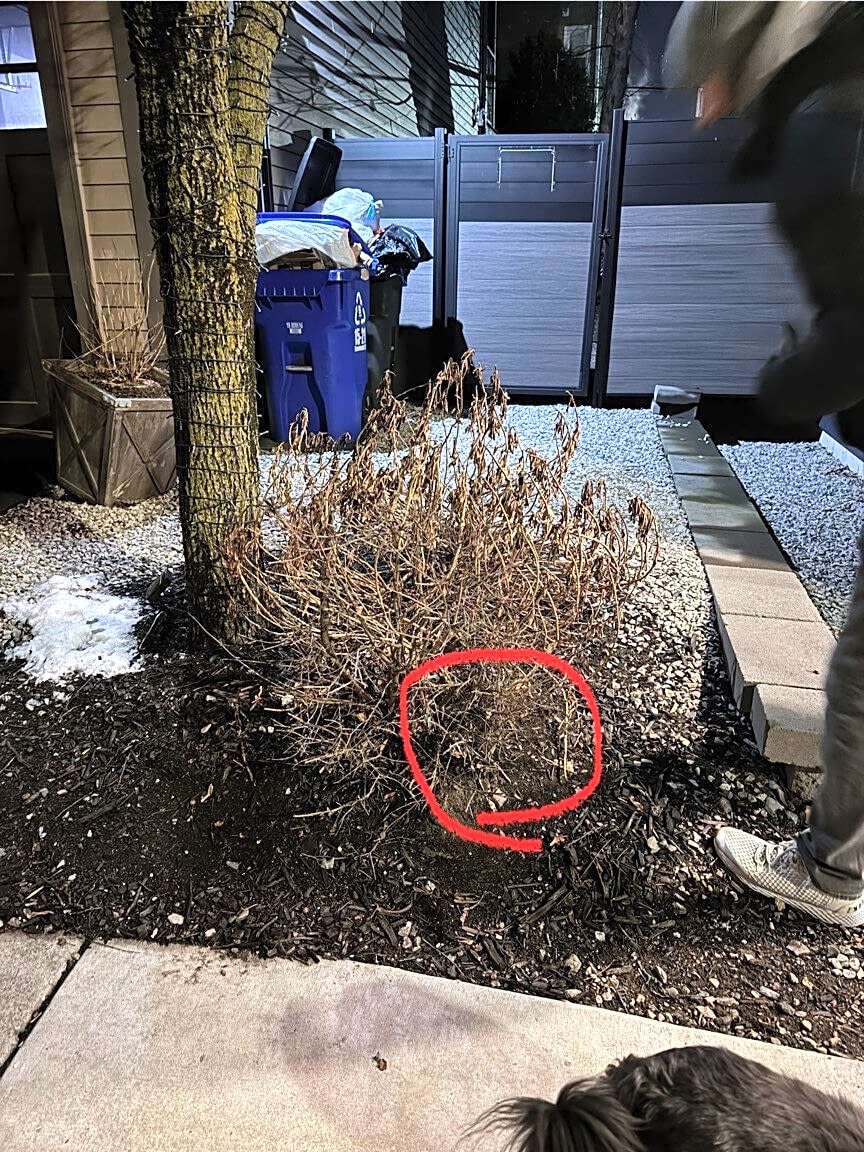 Image submitted with report