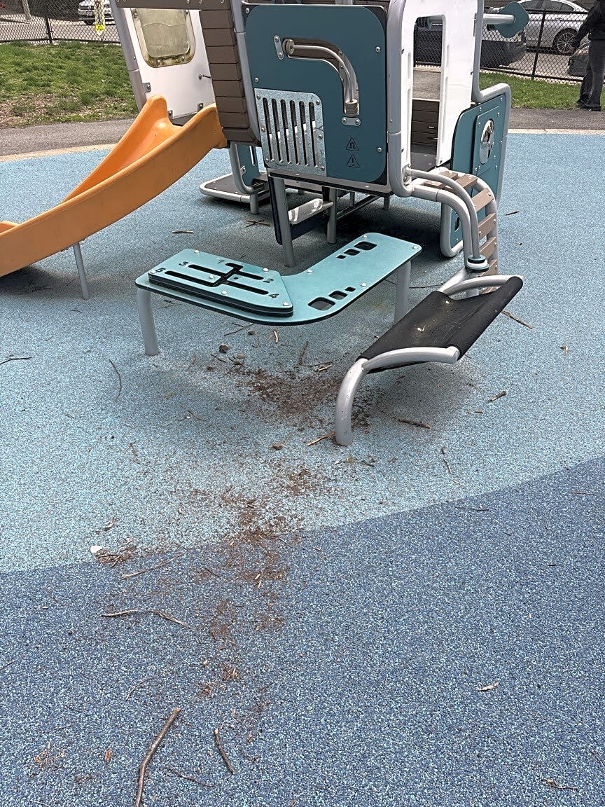 Image submitted with report