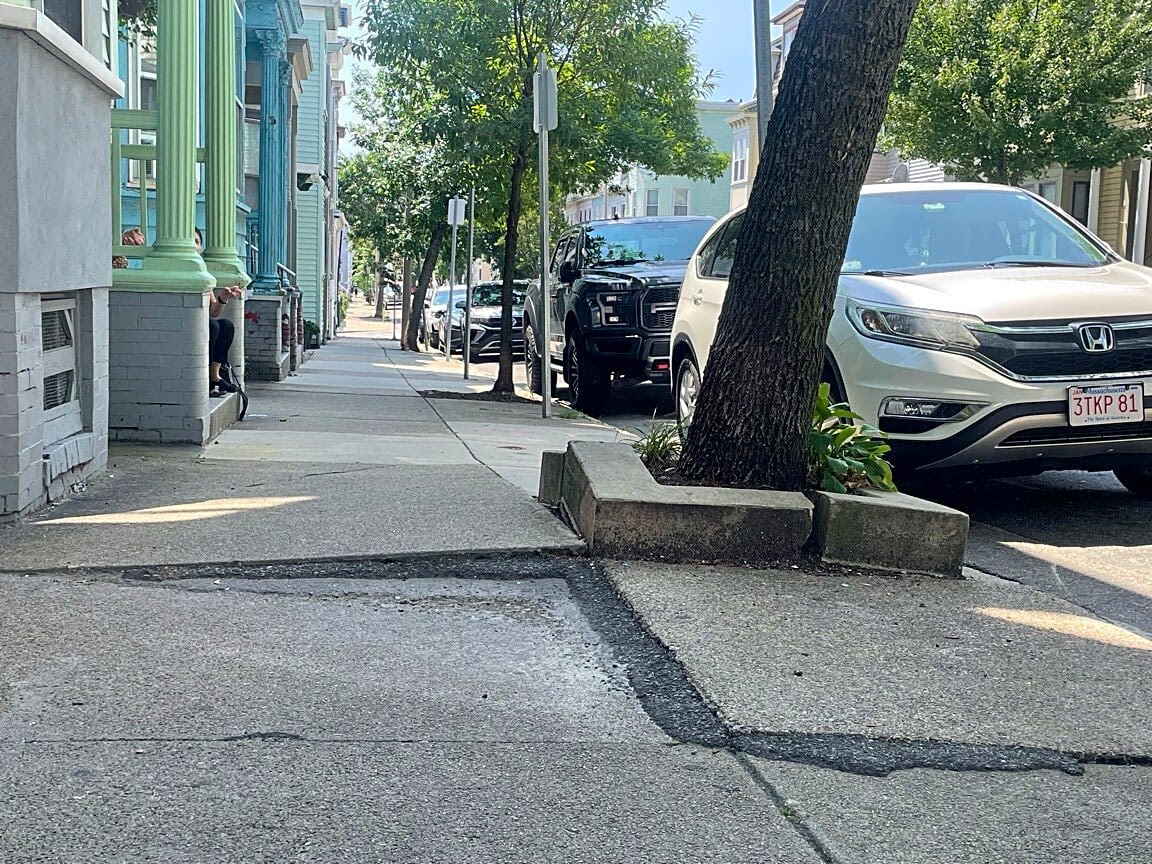 Image submitted with report