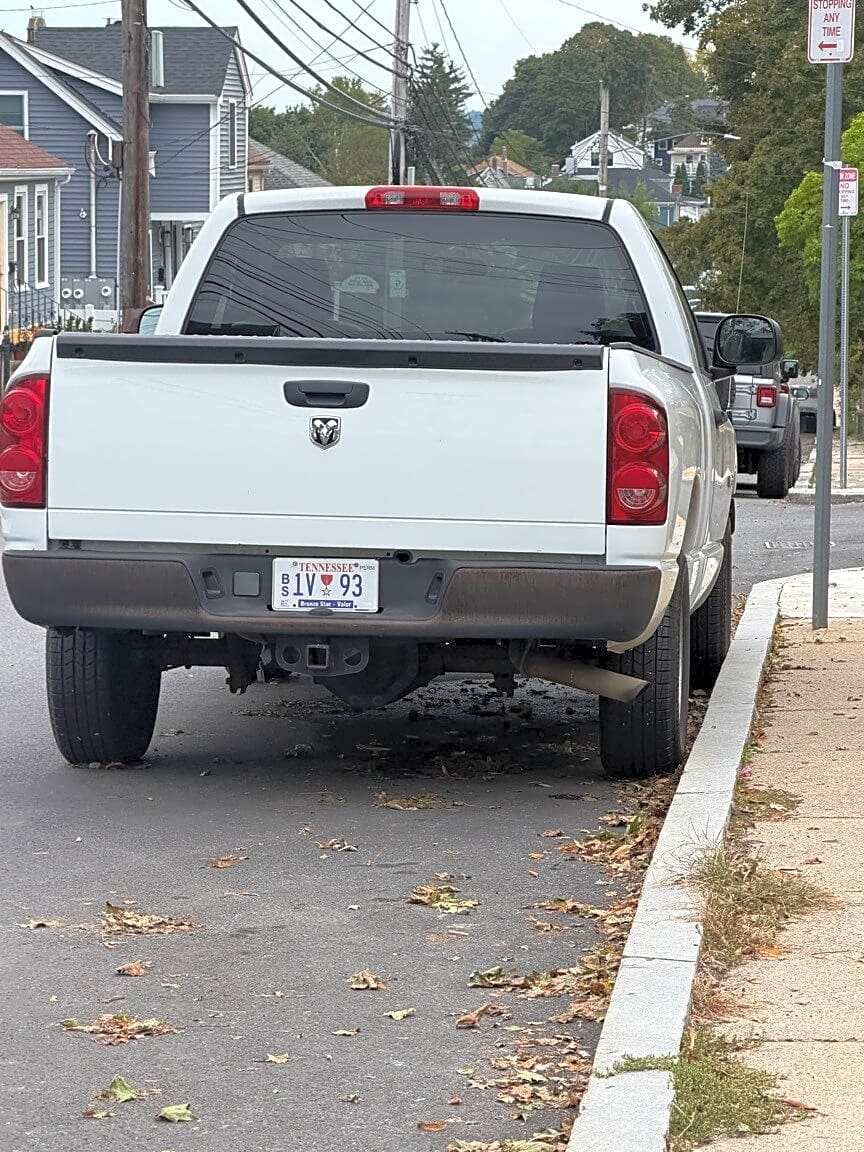 Image submitted with report
