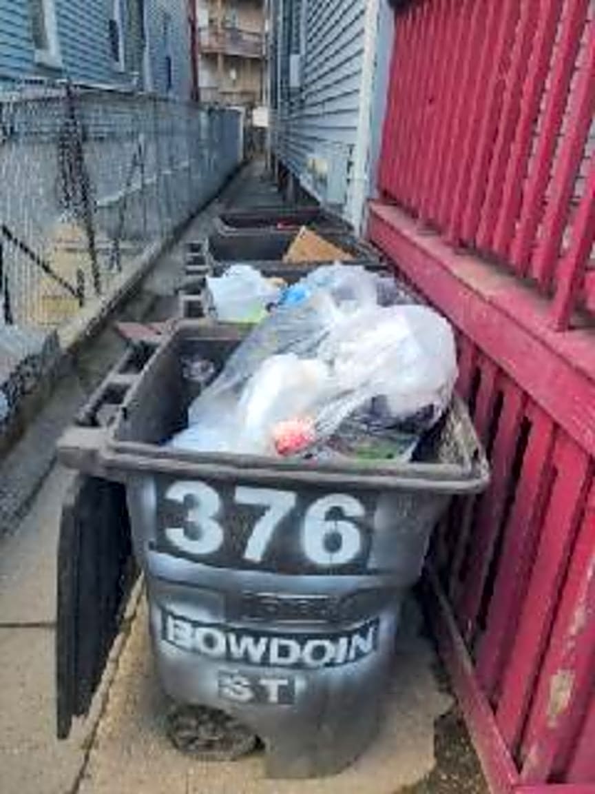 Image submitted with report