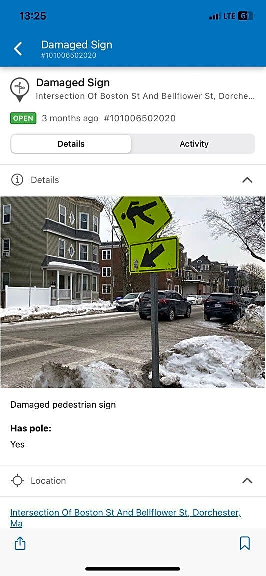 Image submitted with report