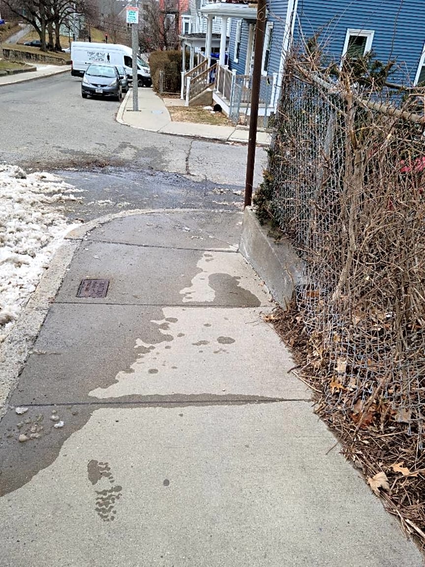 Image submitted with report