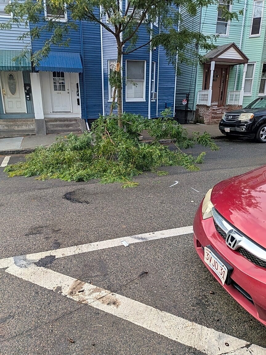 Image submitted with report
