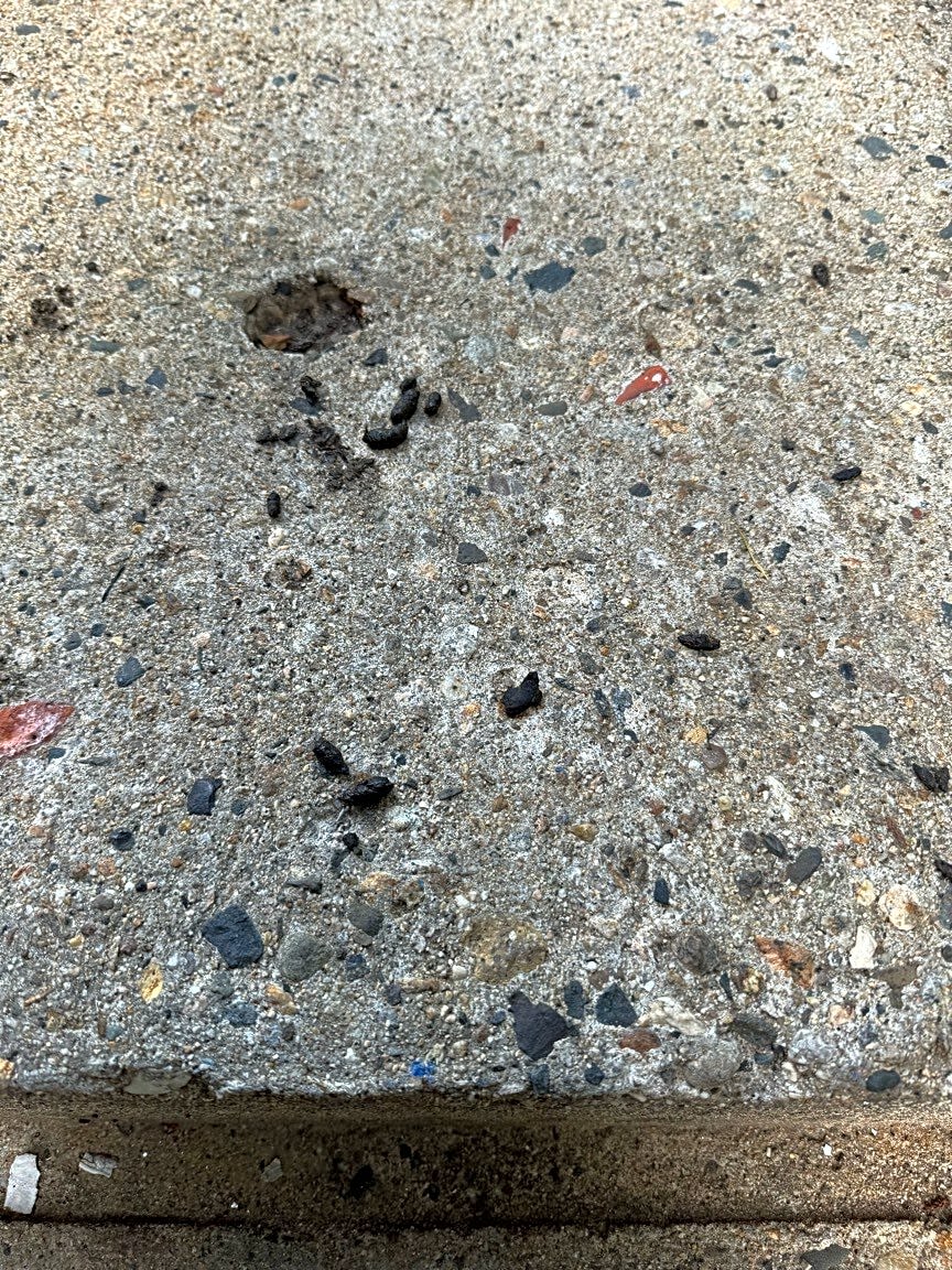 Image submitted with report