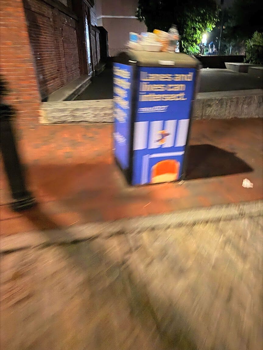 Image submitted with report