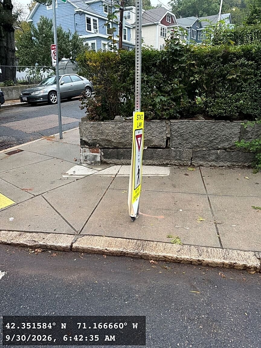 Image submitted with report