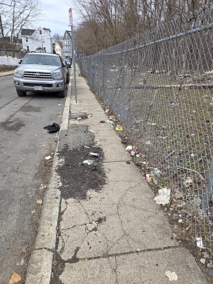 Image submitted with report