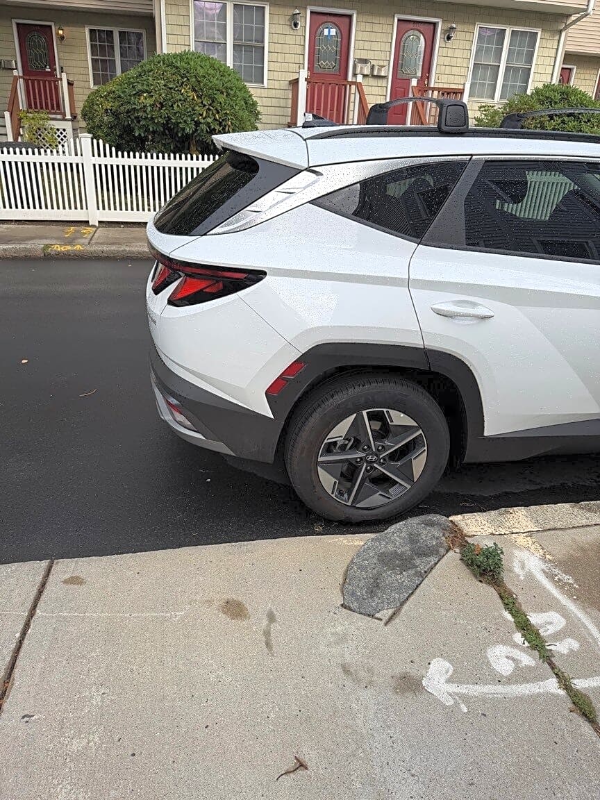 Image submitted with report