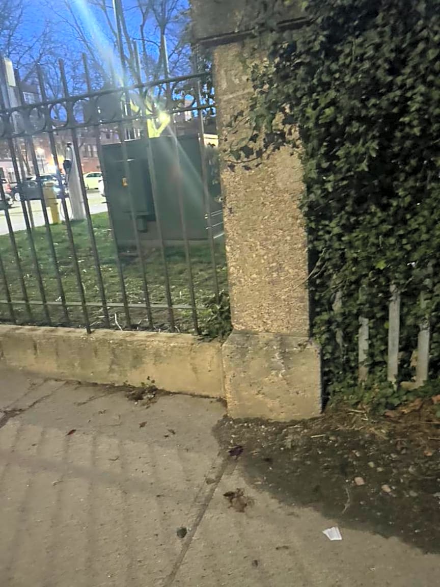 Image submitted with report