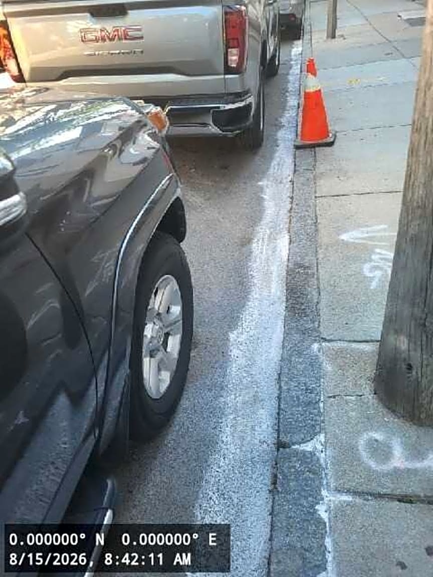 Image submitted with report
