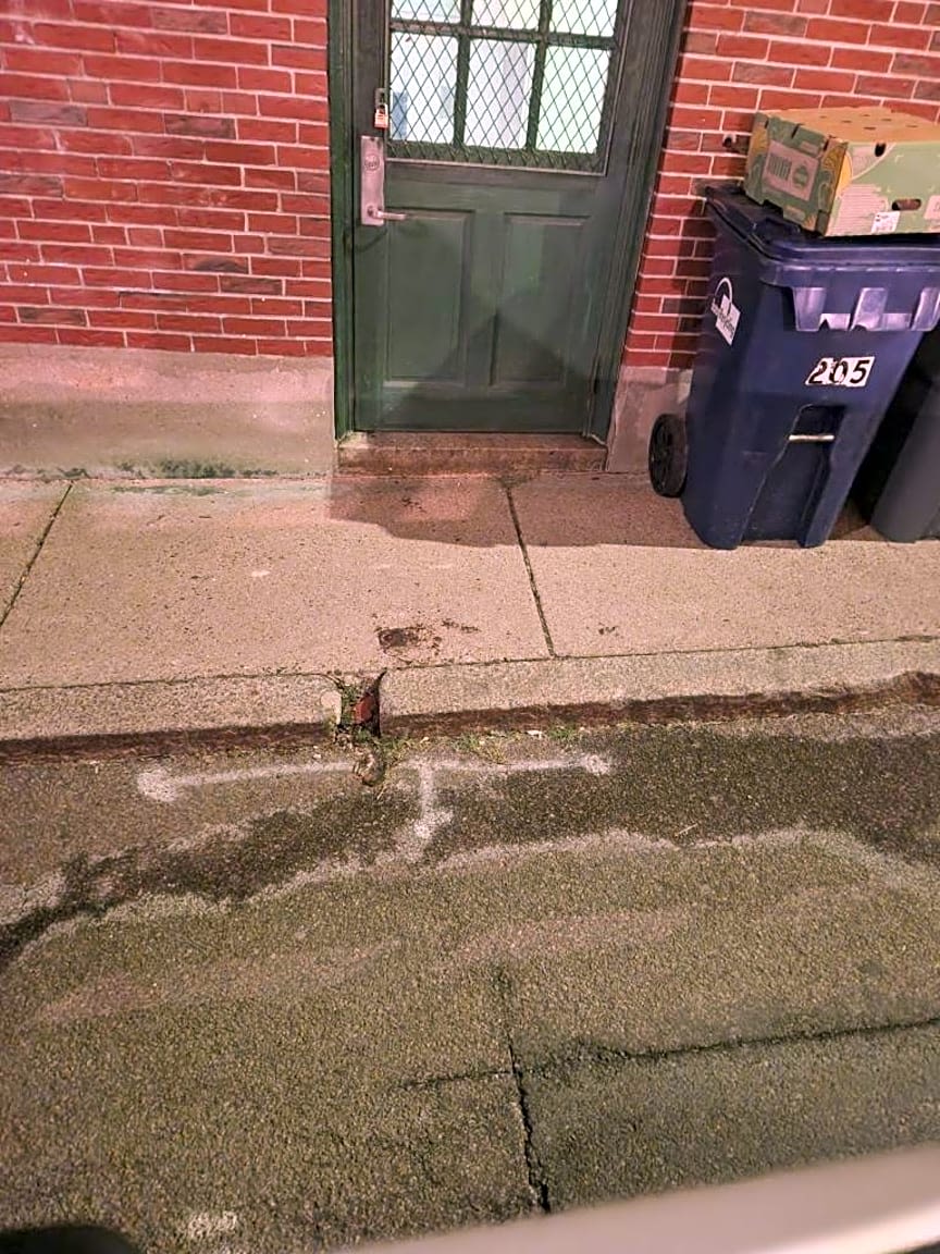 Image submitted with report