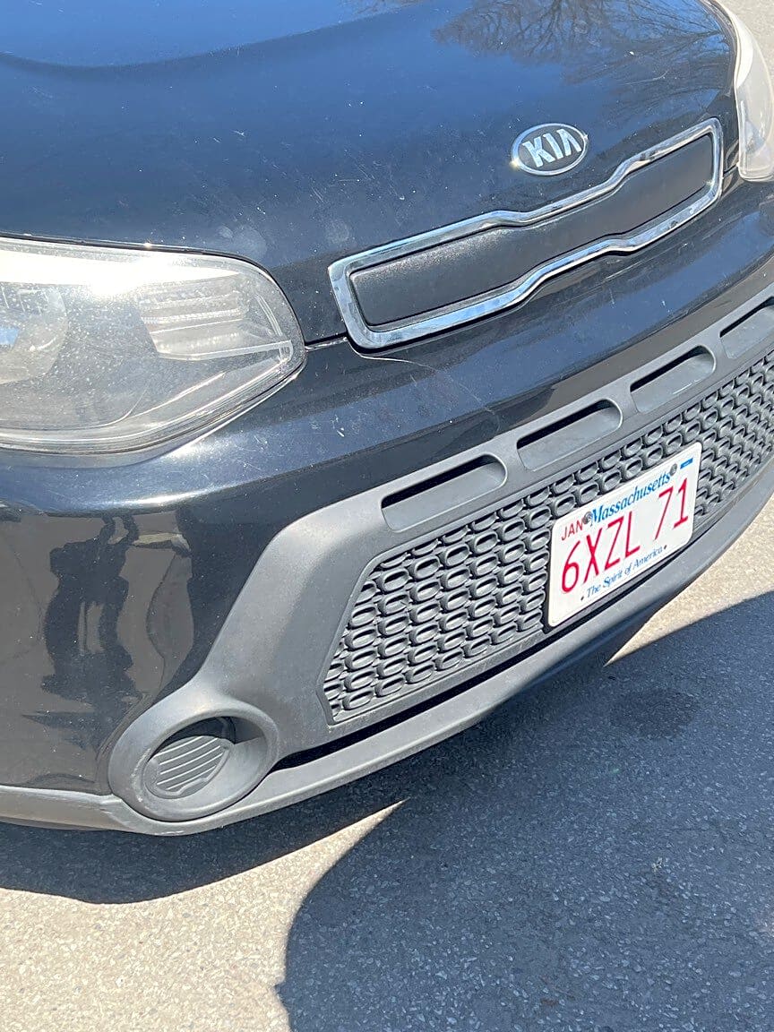 Image submitted with report