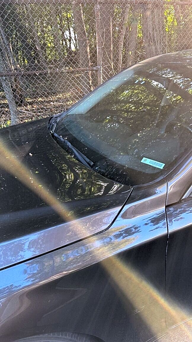 Image submitted with report