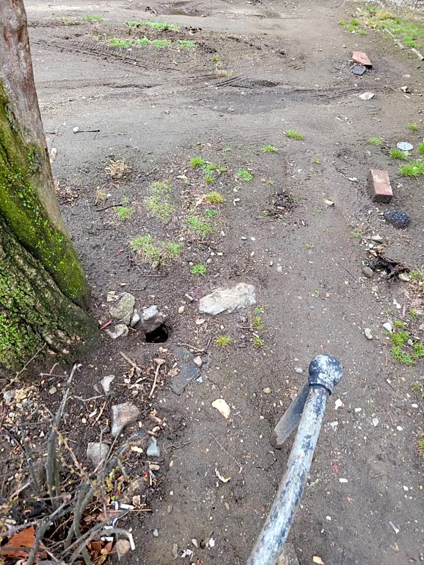 Image submitted with report