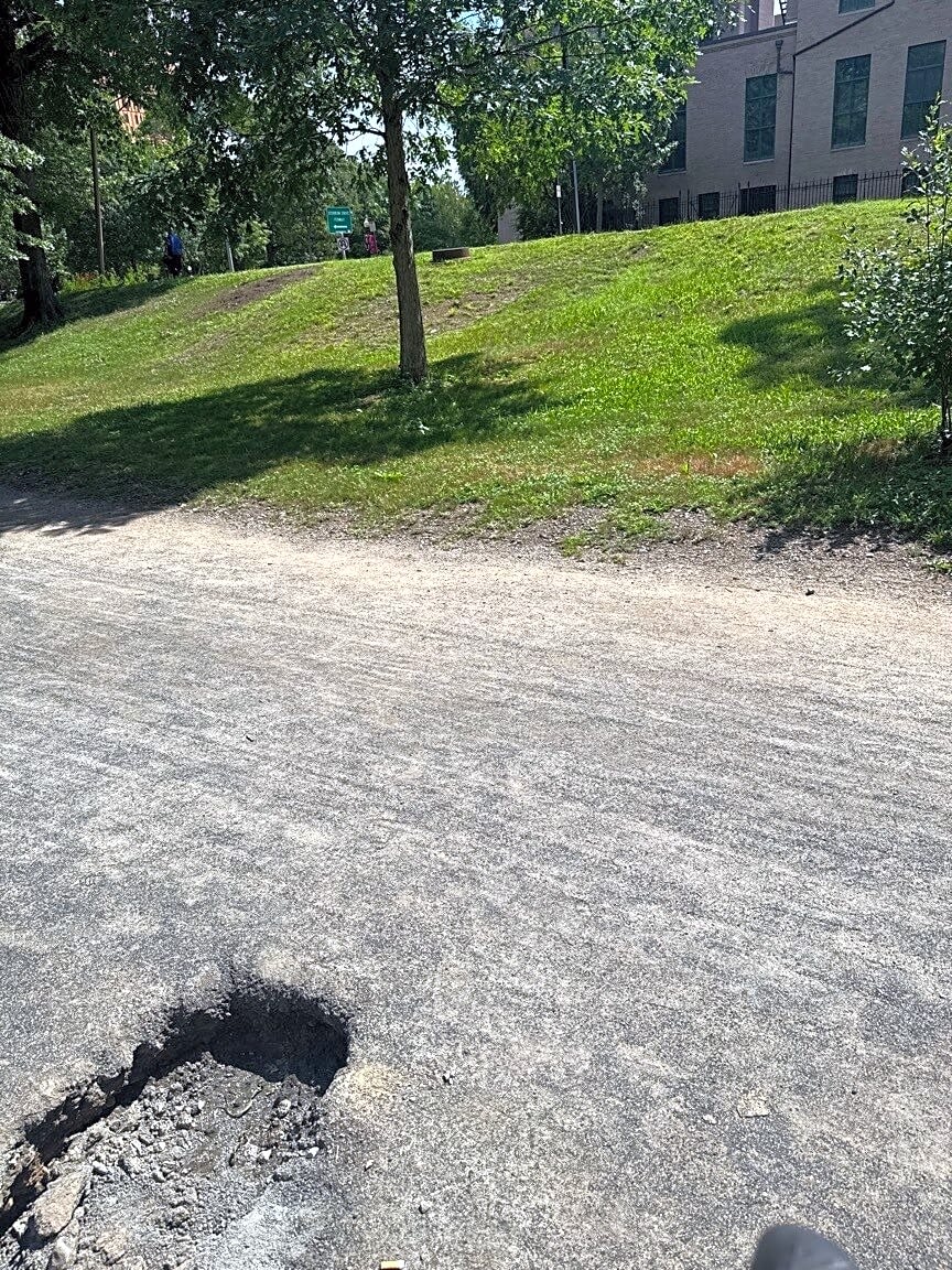 Image submitted with report