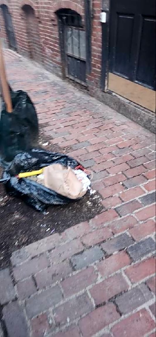 Image submitted with report