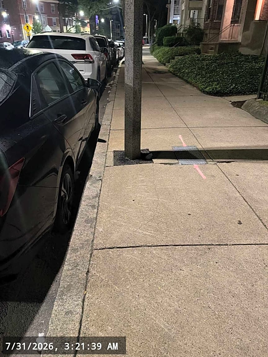 Image submitted with report