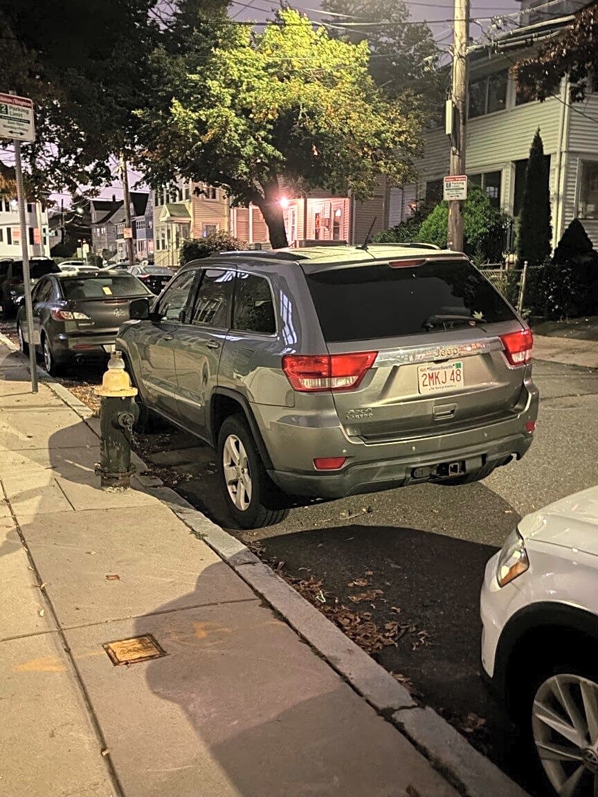Image submitted with report