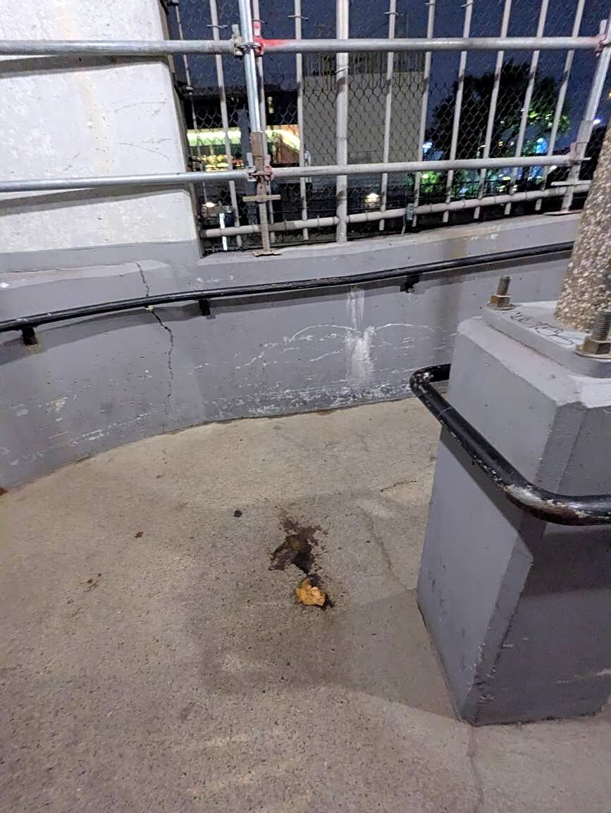 Image submitted with report