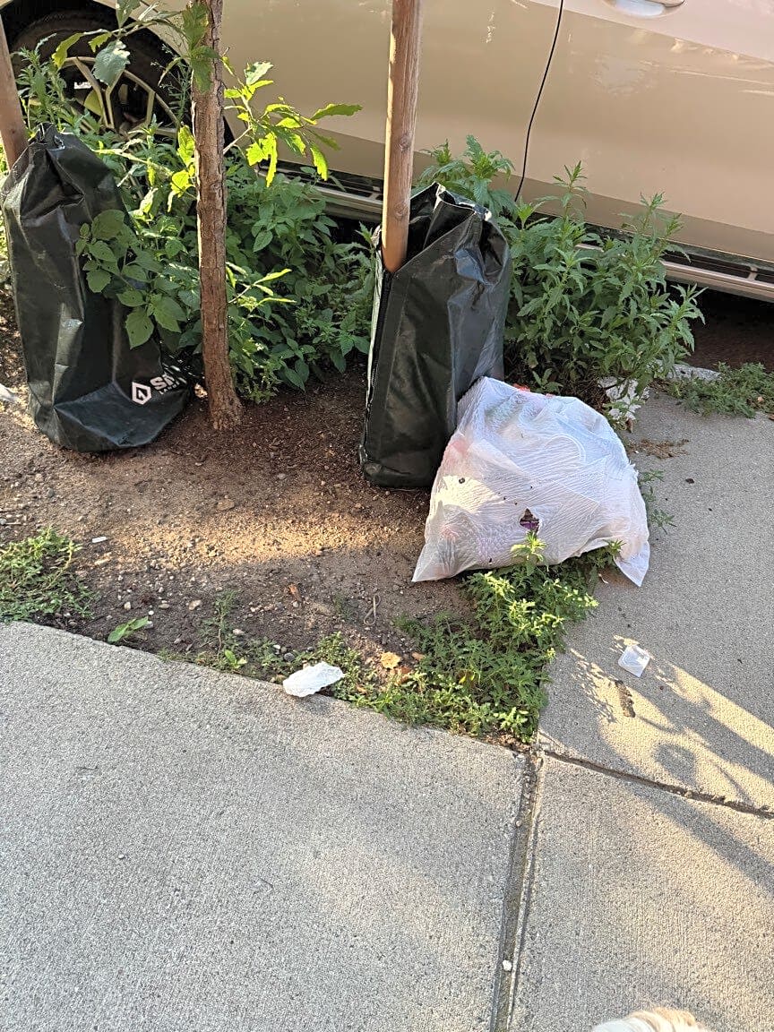 Image submitted with report