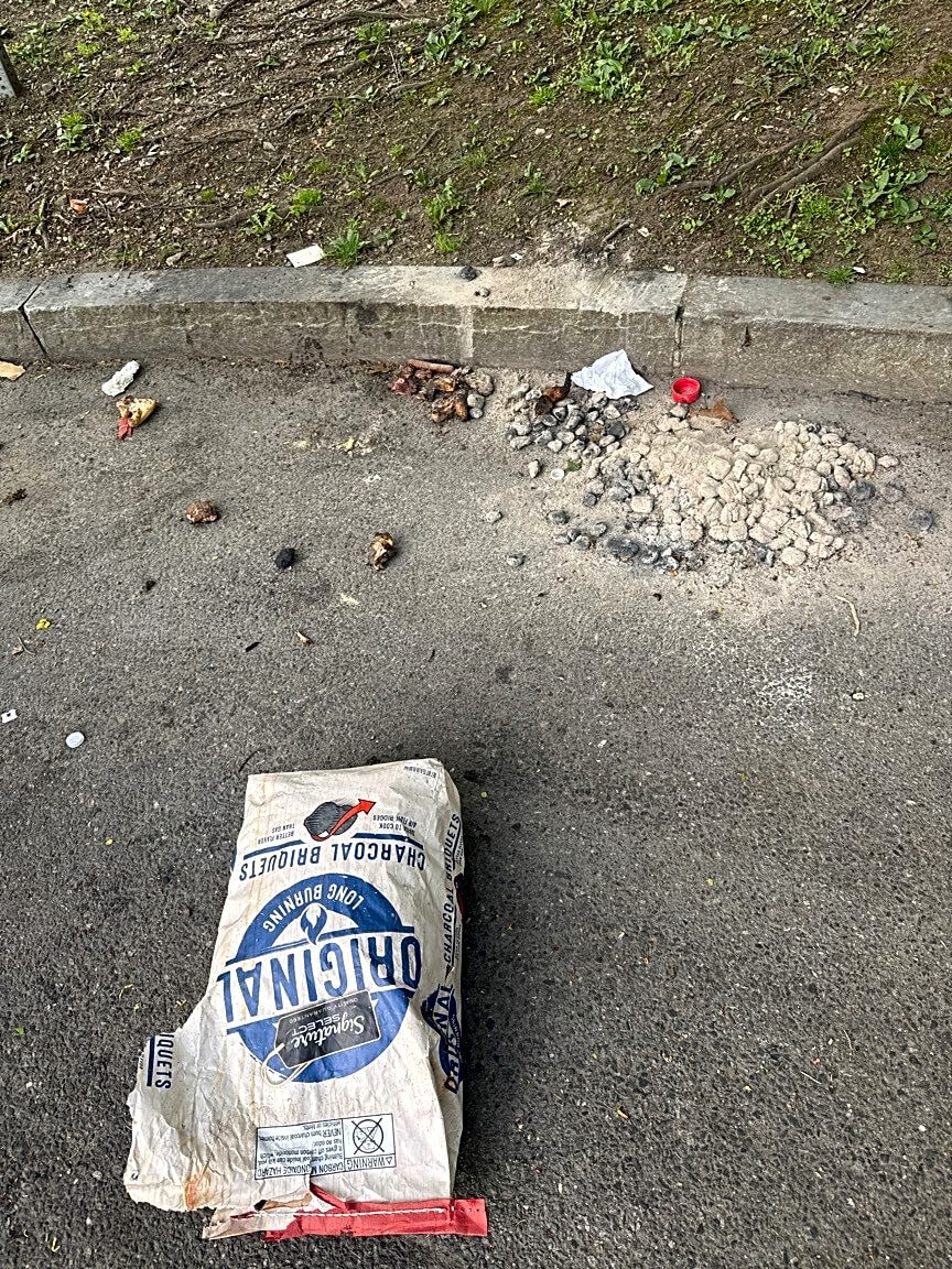 Image submitted with report