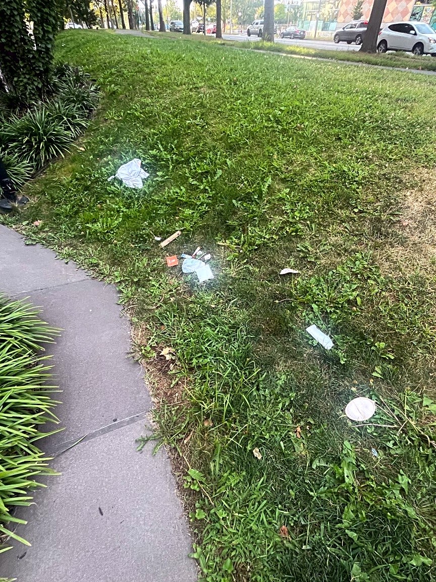 Image submitted with report