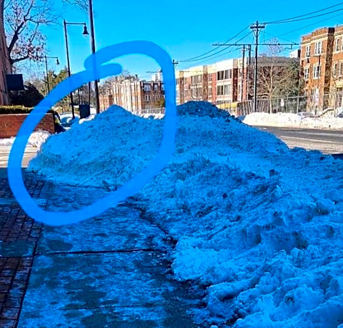 Image submitted with report