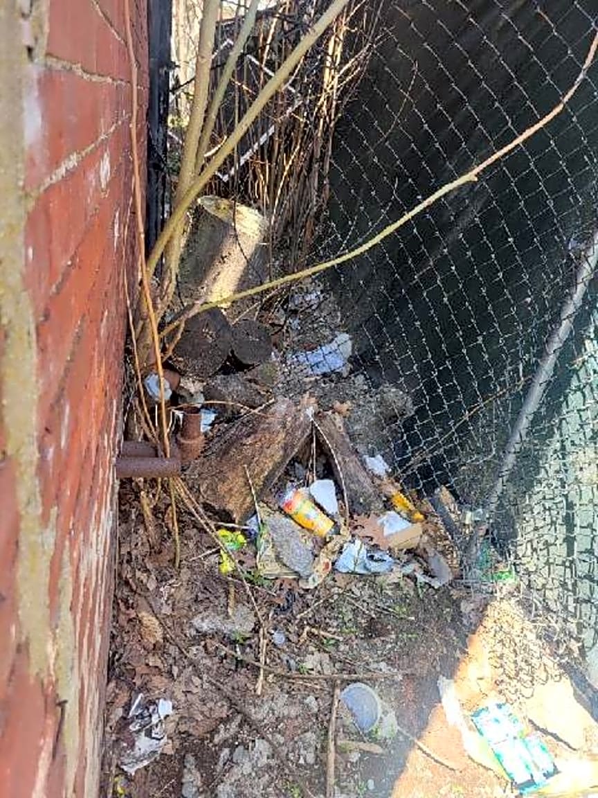 Image submitted with report